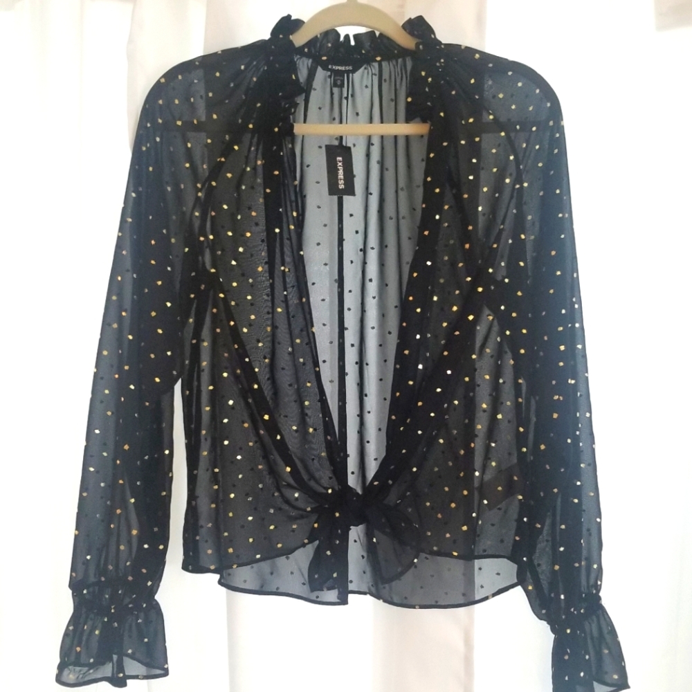 NWT Express Open Sheer Top